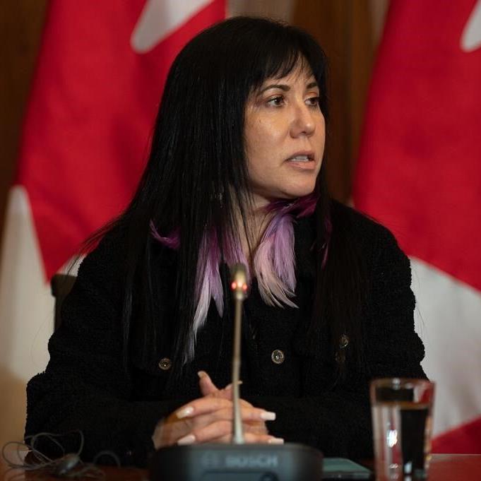 Winnipeg MP pushes 'Red Dress' alert system for missing, murdered Indigenous women